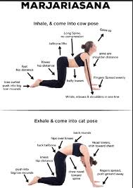 It stretches the back torso and neck, and softly stimulates and strengthens the abdominal organs. How To Do Cat Cow Yoga Benefits Yoga Postures Restorative Yoga