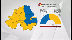 Eu Referendum Ni Remain Vote Declared Bbc News