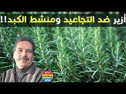إكليل الجبل أو أزير ضد التجاعيد السياتيك الأرق الضعف فقدان الذاكرة المعدة الغازات مع جمال الصقلي Youtube English Grammar Grammar Incoming Call Screenshot