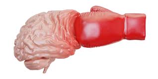 Resultado de imagen para hacer daño al cerebro