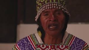 La Danza del Venado: Un Ritual de Conexión y Tradición La Danza del Venado  es una de las expresiones ceremoniales más emblemáticas de los pueblos  indígenas yaquis y mayos del noroeste de