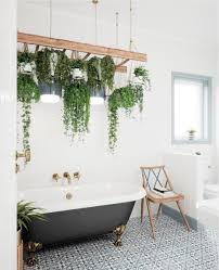 17 Unexpected Ways To Decorate With Houseplants Hanging Plants Indoor Bathroom Plants Living Room Tv