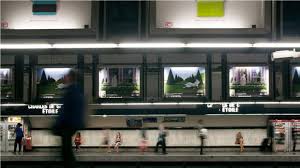 Flowers are a perfect subject for still life photography. Rhythm Pro Photographer