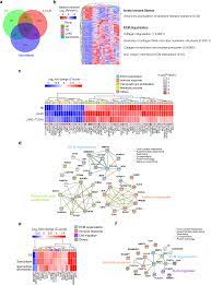 It can also show the size, shape, and position of any lung tumors and can help find enlarged lymph nodes that might contain cancer that has spread. Lung Gene Expression Signatures Suggest Pathogenic Links And Molecular Markers For Pulmonary Tuberculosis Adenocarcinoma And Sarcoidosis Communications Biology