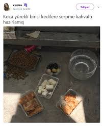 Hayvan Ne Yapsin Caysiz Kahvaltiyi Internationalcatday Https T Co Aib2rr6rnh Resimler Komik Mizah
