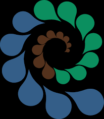 Image result for Elionurus platypus