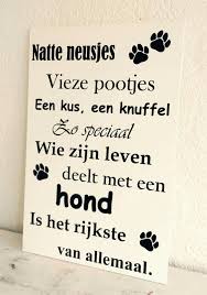 spreuken en teksten spreuken teksten hondenteksten