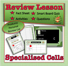 Some of the worksheets for this concept are plant and animal cells, lesson life science plant animal cell functions, life processes and cell activity 1 cells, animal cell ws, plant and animal cells, comparing plant and animal cells, lesson 5. Specialised Cells Worksheets Teaching Resources Tpt