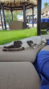 BLUE COLLECTION BELEK