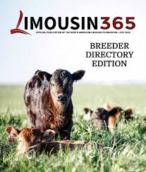 View 10 homes for sale in pine bluffs, wy at a median listing price of $243,500. Limousin 365 July 2020 Issue By Limousin365 Issuu
