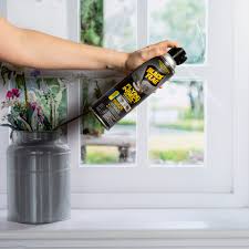 This pantry moth trap should be used immediately if you think you have a moth infestation. Black Flag 2 Count All Purpose Indoor Insect Trap In The Insect Repellents Department At Lowes Com