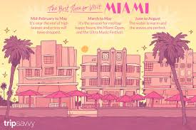It might require a little bit of an investment, but having something bouncy in your backyard could pay off in the long run. The Best Time To Visit Miami