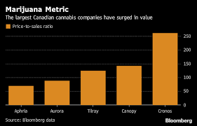 Weed Stocks Tilray Canopy Aurora Keep Rising Is It A