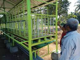 Perkara pertama sekali yang perlu difikirkan apabila hendak menternak kambing ialah kandang. Kandang Kambing Modern Shopee Indonesia