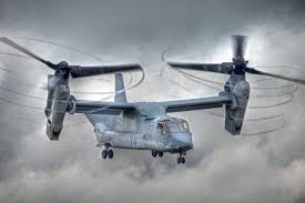 A cactus (plural cacti, cactuses, or less commonly, cactus) is a member of the plant family cactaceae, a family comprising about 127 genera with some 1750 known species of the order. The Fastest Helicopters In The World Hummingbird Helicopters