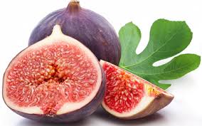 Tapi bagi umat islam tentu sudah sering mendengarnya, karena nama buah ini disebutkan dalam al qur'an dan juga hadist. Terupdate Harga Buah Tin Per Kg Dan Harga Bibit Buah Tin 2018