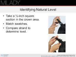 Identify and distinguish the different structures of the. Chapter 21 Haircoloring Ppt Download