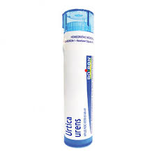 Image result for Urtica urens