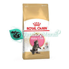 Makanan royal canin kitten maine coon 2 kg = rp 260.000. Royal Canin Kitten Maine Coon 2 Kg Makanan Kucing Mainecoon 2kg Shopee Indonesia