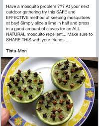 How To Get Rid Of Mosquitos With A Limes So Easy Mosquito Repellent Mosquito Natural Mosquito Repellant