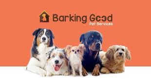 Maybe you would like to learn more about one of these? Dog Grooming Calgary