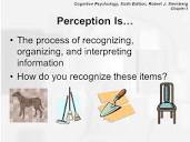 Chapter 3: Visual Perception - ppt video online download