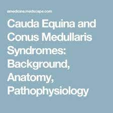 Pin On L2 L3 Herniation Conus Caudus