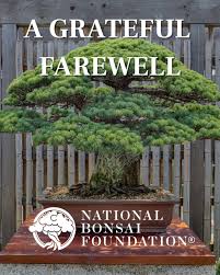 National Bonsai Foundation (@nbfbonsai) · Washington D.C., DC