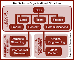 Netflix Inc S Organizational Structure Its Strategic