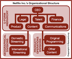 netflix inc s organizational structure its strategic