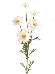 Frequent special offers and discounts up to 70% off for all products! Artificial Silk Daisy Marguerite Spray Single Stem Just Artificial