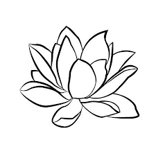 Stock Photo Fleur De Lotus Dessin Fleur De Lotus Dessin Lotus