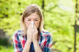 Currently, the only treatment to 'cure' the allergy involves desensitisation, where patients under share or comment on this article: Antihistamine Infused Contact Lenses Could Help With Allergies Discover Magazine