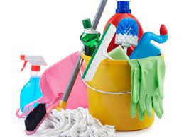 pin on temzilik urunleri