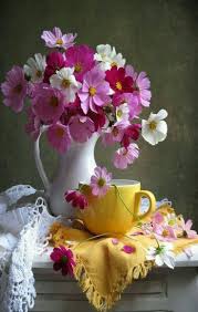 Outdoor silk flowers for sale. Pin By Mary On Fleurs ÙˆØ±ÙˆØ¯ ÙˆØ£Ø²Ù‡Ø§Ø± Cosmos Flowers Beautiful Flowers Trendy Flowers
