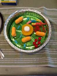 Maybe you would like to learn more about one of these? 11 Ethans Homework Ideas Cells Project Cell Model Animal Cells Model