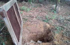Some of the modern versions are dug down into flat ground. 25 Diy Root Cellar Plans Ideas To Keep Your Harvest Fresh Without Refrigerators