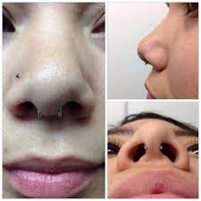 Pin By Angela Ramirez On Anatometal Fan Photos Piercings Body Jewelry Piercing Piercing Tattoo