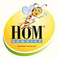 Découvrez les enseignes de service à la personne qui marchent et recrutent actuellement des franchisés partout en france ! Hom Services Societe De Service A La Personne Repassage Sur Dijon Beaune Petites Annonces En Repassage A Longvic 21600 Sur Aladom Fr