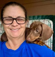 Introducing new doberman puppy to the family