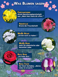 Was Blumen Sagen Wer Die Sprache Der Blumen Nicht Beherrscht Ist Nicht Nur Am Valentinstag Unangenehmen Fettnapf Blumen Gartenbrunnen Gartencenter G En 2020