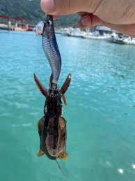 Fishbook - はてなブログ