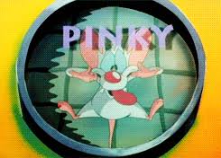 Check spelling or type a new query. Pinky And The Brain Animated Gifs Gallery