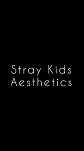 Can't find what you are looking for? Stray Kids Aesthetics Stray Kids Amino
