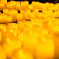 Candlelight: Tribute to Ed Sheeran event image