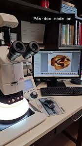 Adriel Brandon no LinkedIn: #biomecanica #saude #fimefair #fime #ortopedia  #health #biomecanicabrasil…