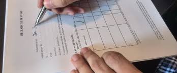 Declaraţie de avere pentru anul 2018. Portal Ditl Giurgiu Despre Noi DeclaraÈ›ii De Avere