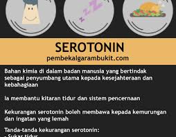Kedudukan fasa bulan dalam bahasa melayu; Kedai Lampu Shah Alam Archives Pembekal Garam Bukit Himalaya Asli