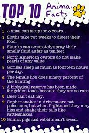 Maybe you would like to learn more about one of these? Pin By Claudia On Bento Brainstorm Facts For Kids Fun Facts About Animals Animal Facts For Kids