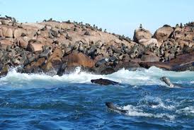 Database Error Uruguay Isla World